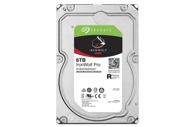 Ổ cứng HDD Seagate Ironwolf Pro 6TB ST6000NE0023