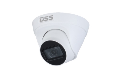 Camera IP DAHUA DS2431TDIP-S2