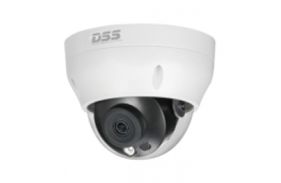 Camera IP DAHUA DS2431RDIP-S2