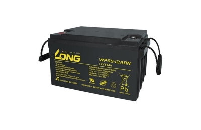 Ắc quy kín khí LONG 12V-65Ah WP65-12ARN